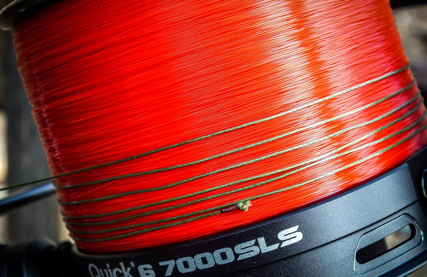 Ciao a tutti amici carpisti! ASSO, un italiano vero.